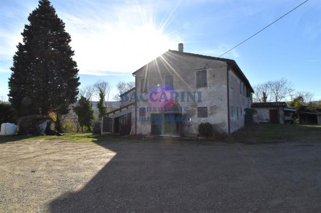 FONDO AGRICOLO CA' DEI FRATI - BRISIGHELLA - Foto 9