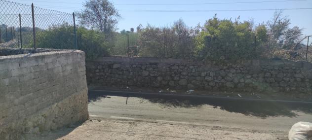 Agricolo in vendita a Misterbianco - Foto 19