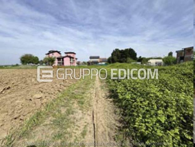 Terreno di 5923 mq in vendita a Nogara - Rif. 4555083 - Foto 3