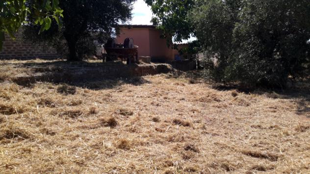 TERRENO AGRICOLO di 1300 mq (POMEZIA) rif. C/305 - Foto 10