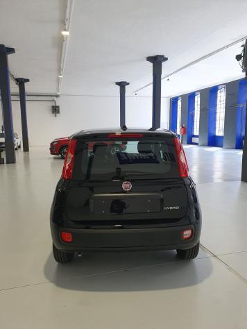 FIAT Pandina Pandina 1.0 firefly hybrid Icon s&s 65cv - Foto 4