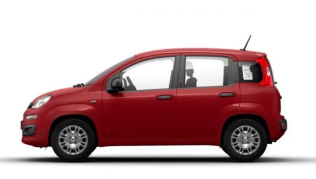 FIAT Panda APERTI AD AGOSTO rif. 24021644 - Foto 3