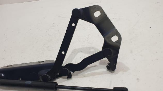 CERNIERA COFANO ANTERIORE SX LAND ROVER Range Rover Evoque 1° Serie 6H52-16801-AC (11) - Foto 8