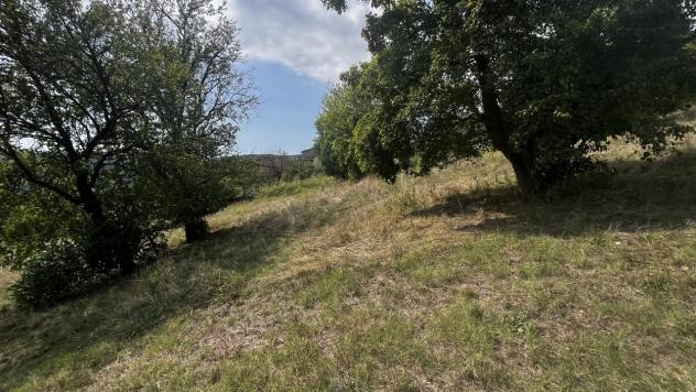 Seminativo in vendita a Altavilla Vicentina - Foto 4