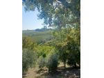 SPLENDIDO PODERE