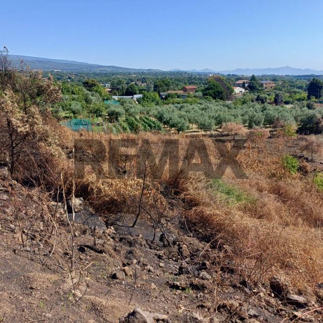 Terreno in vendita a Zafferana Etnea, Pisano - Foto 17