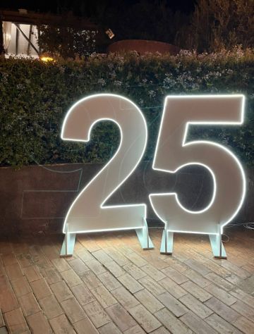 Noleggio Numero 25 gigante luminoso compleanni Messina Catania Reggio Calabria
