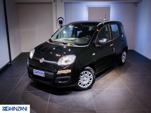FIAT Panda Panda 1.0 FireFly S&S Hybrid Pop - "PREZZO VERO" - Foto 3