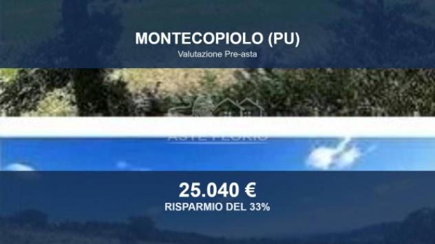 Immobile in asta di 41269 m² in vendita a Montecopiolo