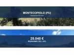 Immobile in asta di 41269 m² in vendita a Montecopiolo