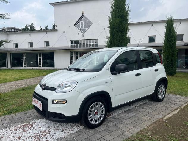 FIAT Panda 1.0 FireFly 70cv S&S Hybrid - Foto 3
