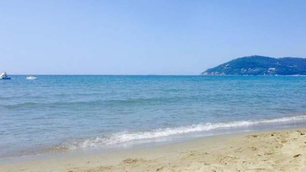 Appartamento in affitto a Marina di Carrara - Carrara 70 mq Rif: 1190278 - Foto 10