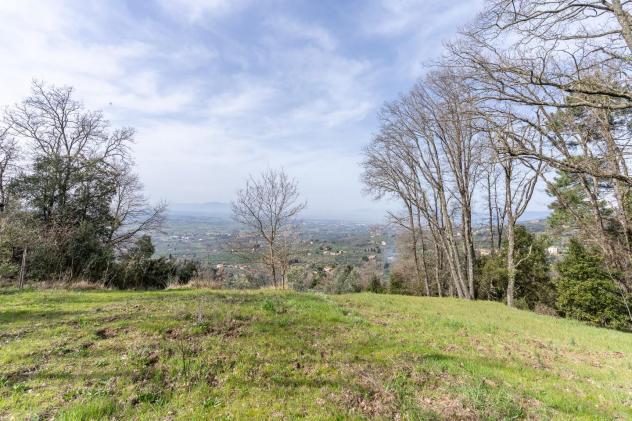 Terreno agricolo in vendita a Vitolini - Vinci 18450 mq Rif: 1399141 - Foto 4