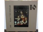 DIAPOSITIVA 395 SEI STORIA DELL'ARTE - PITTURA - BERNARDINO LUINI - MADONNA DEL
