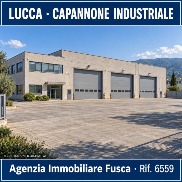 Industriale/Artigianale in vendita a Lucca - Foto 5
