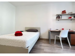 Ampia stanza singola in appartamento moderno