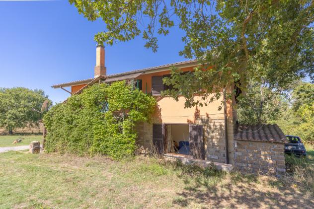 Casale in vendita a Barbarano Romano - Foto 7