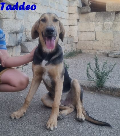 Portami a casa con te! - Foto 7