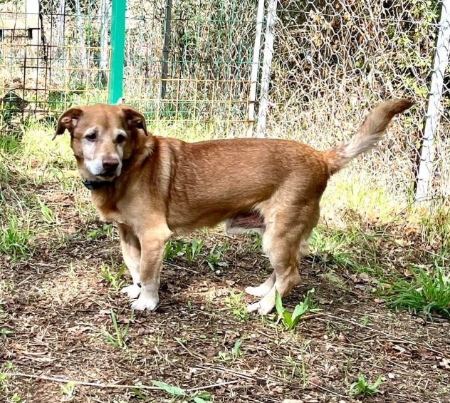 Rudy - Foto 3