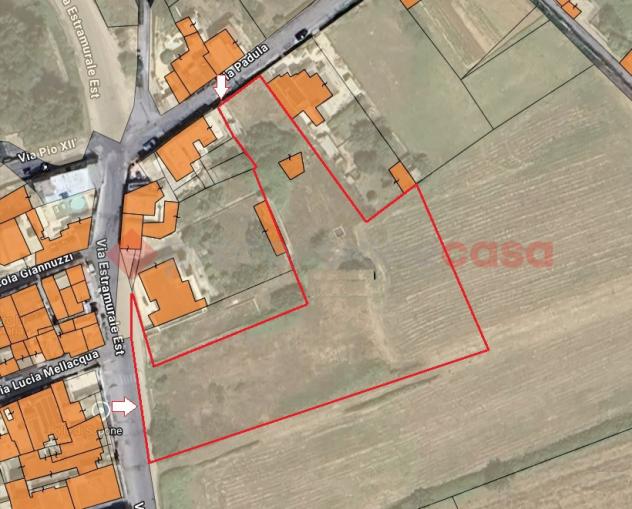 Terreno Residenziale - Specchia . Rif.: Pogg205VRG - Foto 8
