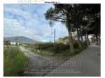 IMMOBILI-ALTRA CATEGORIA-Viale del Vergaiolo, 51018 Pieve A Nievole PT, Italia