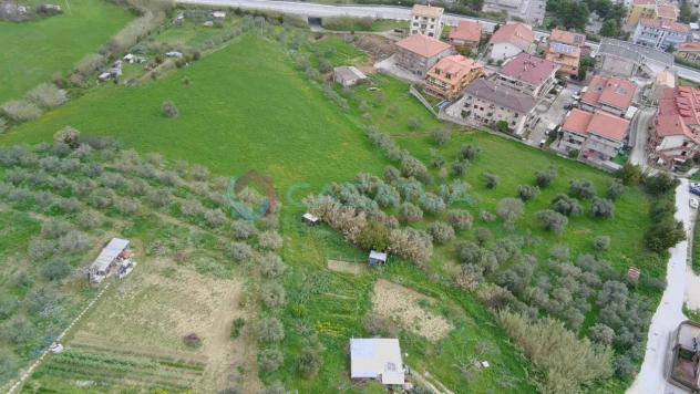 Agricolo in vendita a Silvi - Foto 3