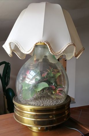 ACQUARIO CON LAMPADA ED AERATORE