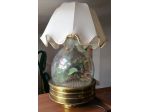 ACQUARIO CON LAMPADA ED AERATORE