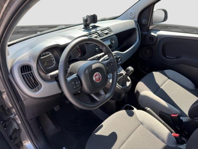 FIAT Panda Panda 1.0 FireFly Hybrid City Life rif. 23913198 - Foto 9