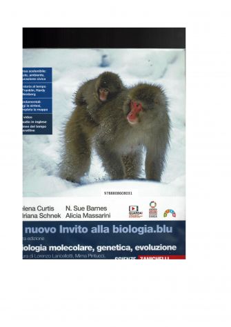 LIBRI MEDIA SUPERIORE - Foto 3
