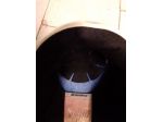 CASCO SCI