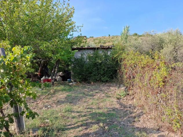 Agricolo in Via Alberto Moravia - Foto 7