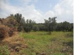 Agricolo in Località Signorelli