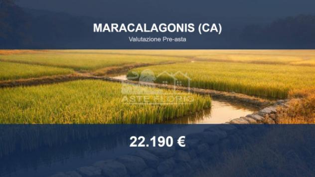 Immobile in asta di 144320 m² in vendita a Maracalagonis