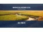 Immobile in asta di 144320 m² in vendita a Maracalagonis