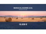 Immobile in asta di 144320 m² in vendita a Maracalagonis