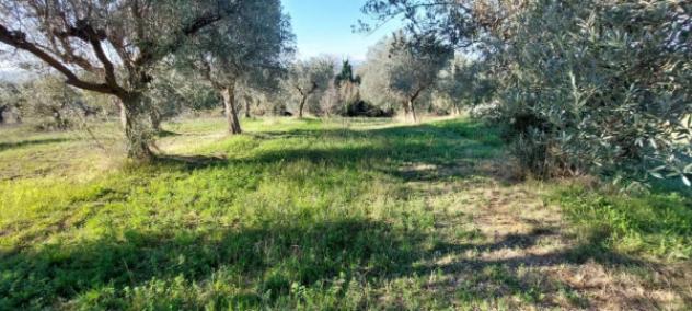 Immobile in asta di 6583 m² in vendita a Nereto - Foto 10