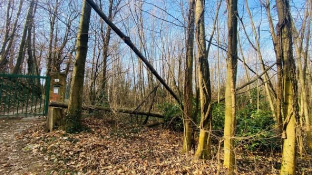 Immobile in asta di 19946 m² in vendita a Rosta - Foto 8
