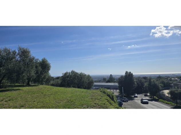 Agricolo in Viale del Lavoro - Foto 13