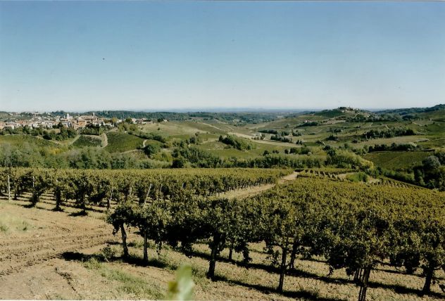 Casale, Vigna e uno splendido Panorama - Foto 2