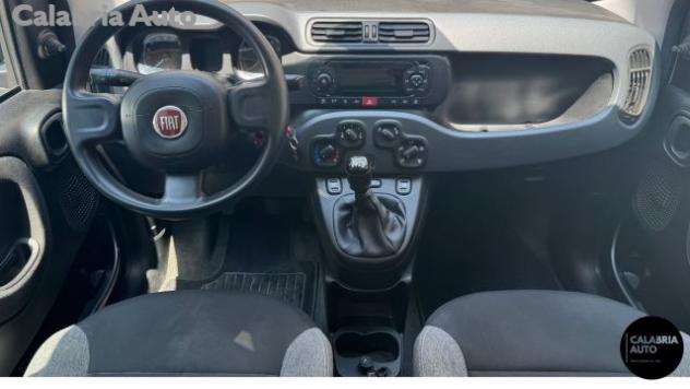 FIAT Panda 1.0 FireFly S&S Hybrid rif. 23935562 - Foto 8