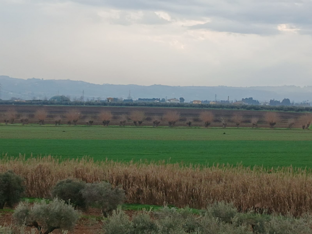 Casale panoramico vista mare con 4.000 mq di terreno - Foto 4