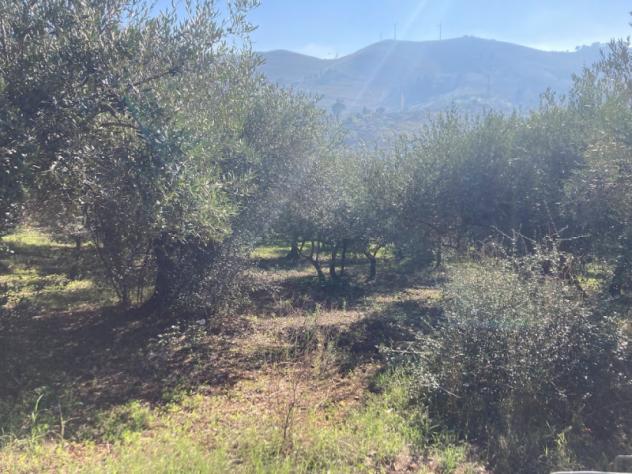 Villa in Via Portella di Palermo - Foto 4