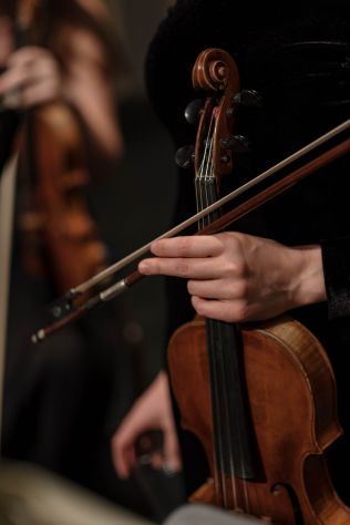 Violinista Cardano Al Campo