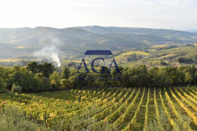 TERRENO AGRICOLO di 60400 mq (MIANE) rif. TR69_17 - Foto 6