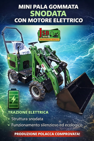 Caricatore Elettrico E Escavatore Elettrico NUOVI 2026 | Direttamente dal Produt - Foto 5