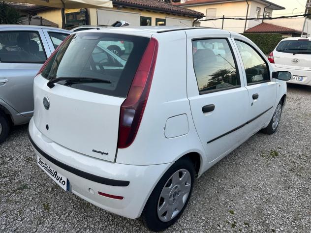 FIAT Punto Punto 1.3 Multijet 16V 5 porte Dynamic - Foto 6