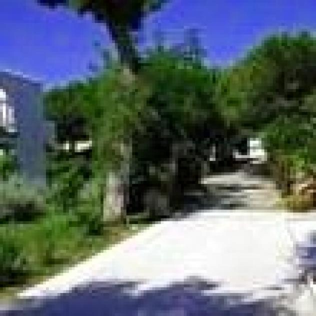Trezene Village S.a.s. di Carlo Montone & C. - Foto 4