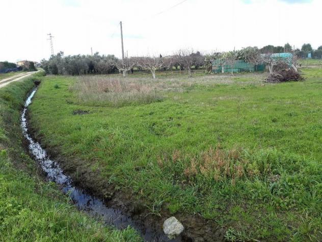 Terreno agricolo in vendita a San Frediano a Settimo - Cascina 4000 mq Rif: 887561