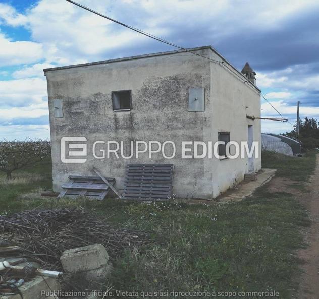 Terreno di 35921 mq in vendita a Montalbano Jonico - Rif. 4551657 - Foto 2